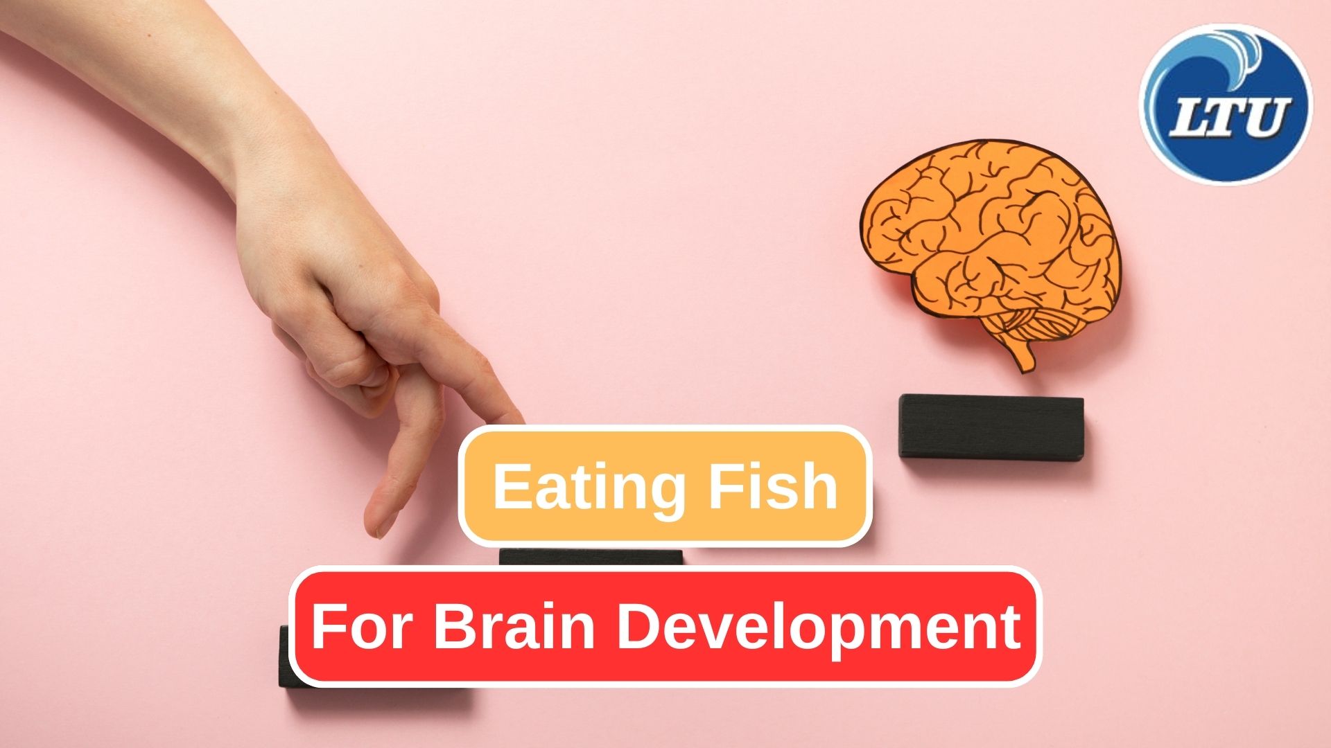 The 8 Benefits of Eating Fish for Brain Development